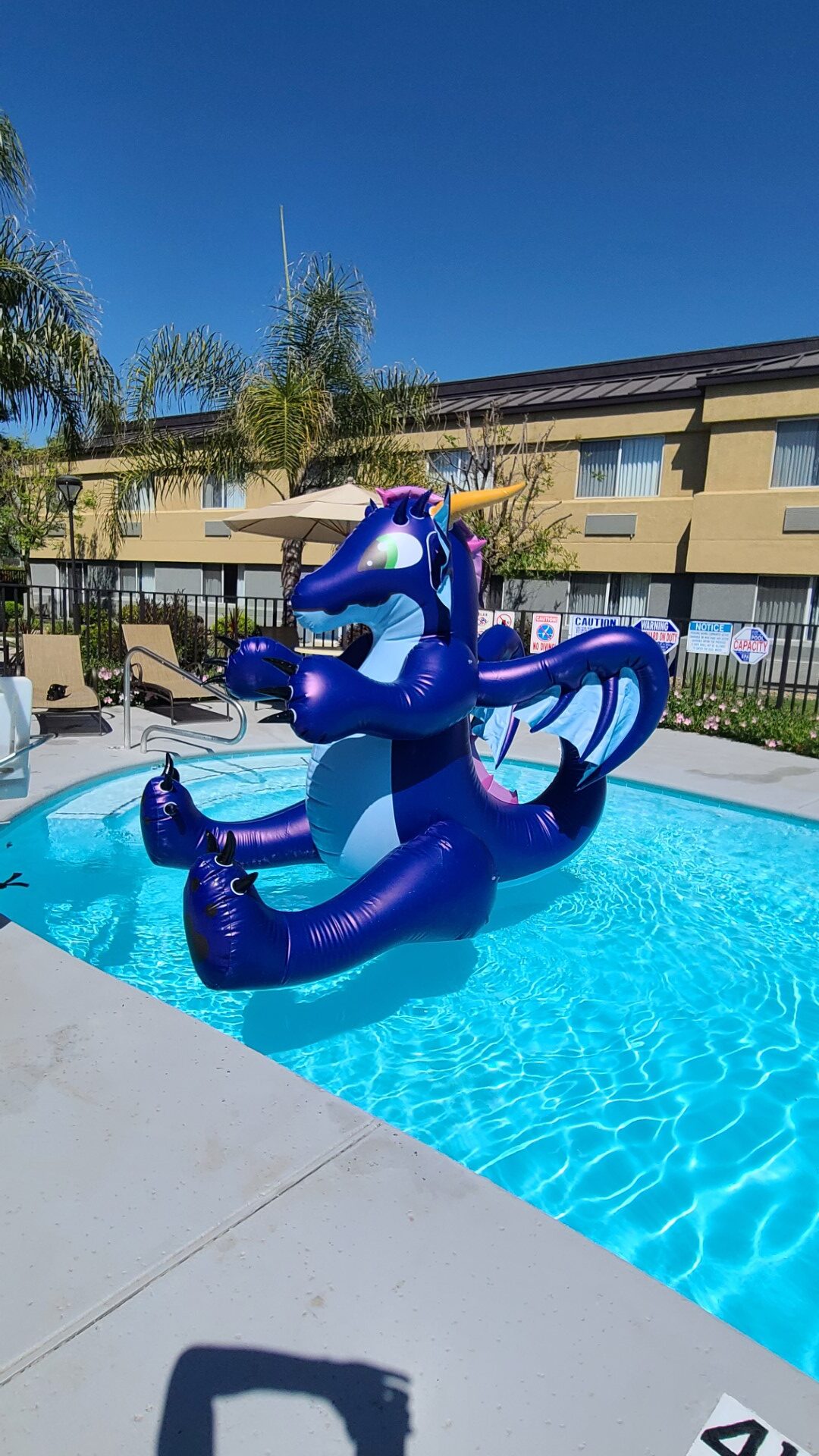 Got some Rathy pics – TMDrake's – Decorative Inflatable Toys